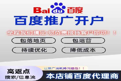 网络推广竞价策略解析与应用案例